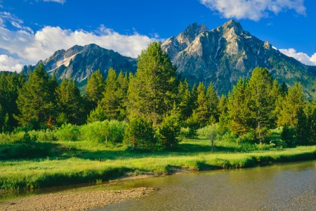 The Sawtooth Range sits in the distance in  a meadow, in the Sawtooth National Recreation Area of Stanley, Idaho.