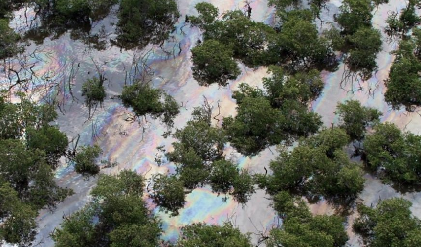 A screengrab of oil spill coverage in Brazil's Guanabara Bay (BBC)