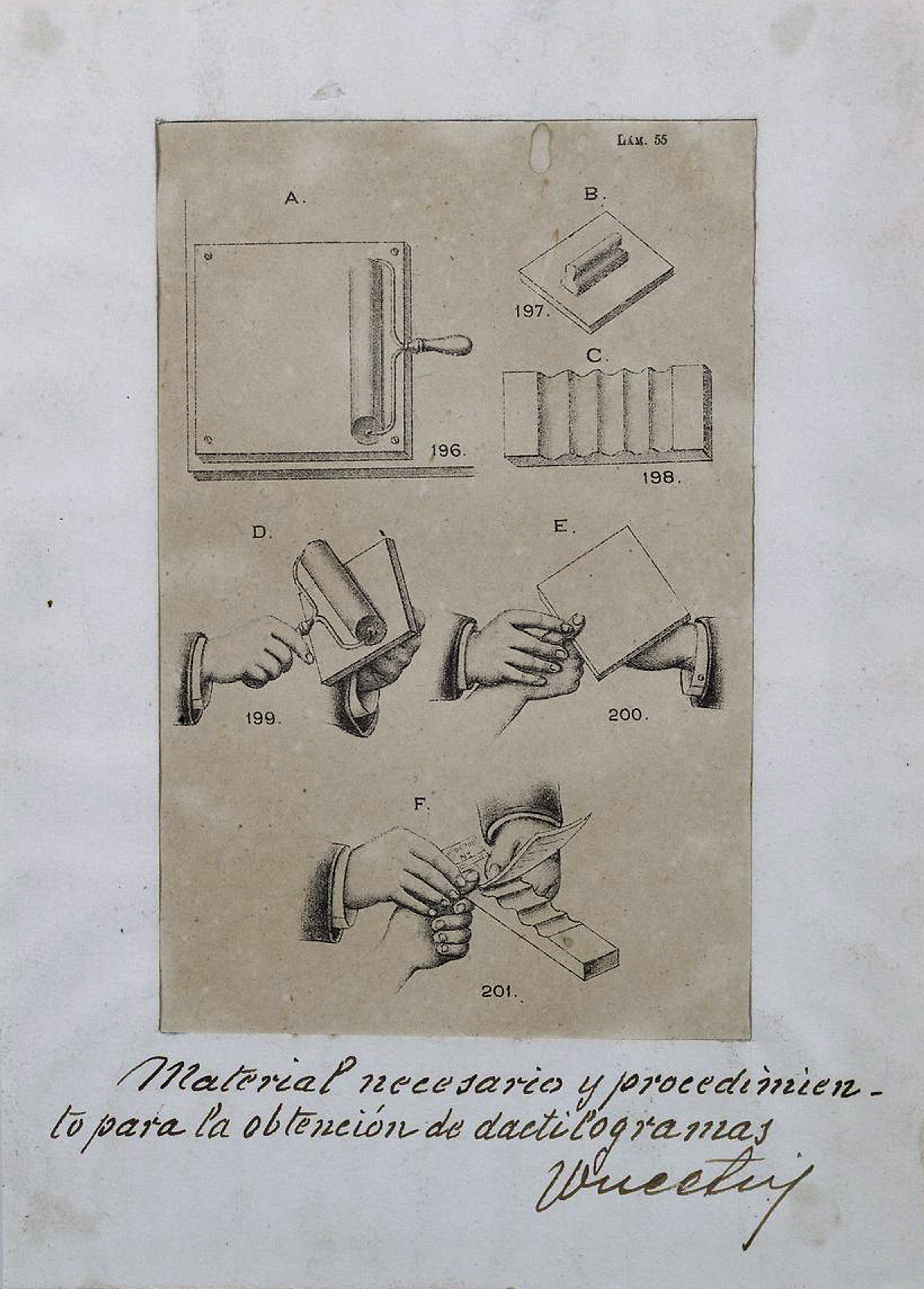 fingerprinting