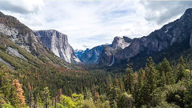 The Quintessential Experiences in All 59 National Parks