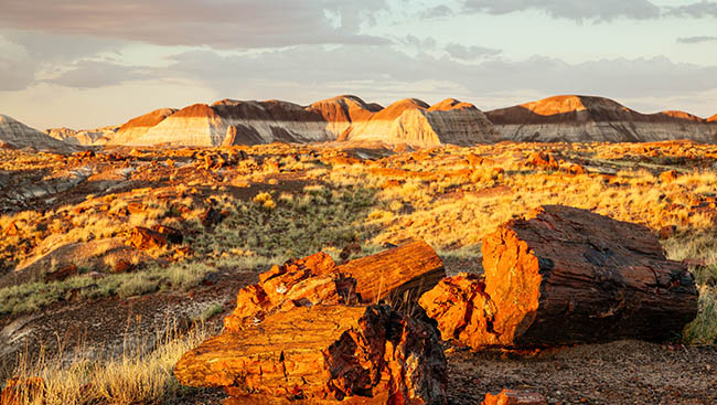 The Quintessential Experiences in All 59 National Parks