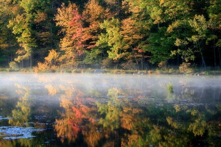 The Seven Best Fall Hiking Destinations Near New York