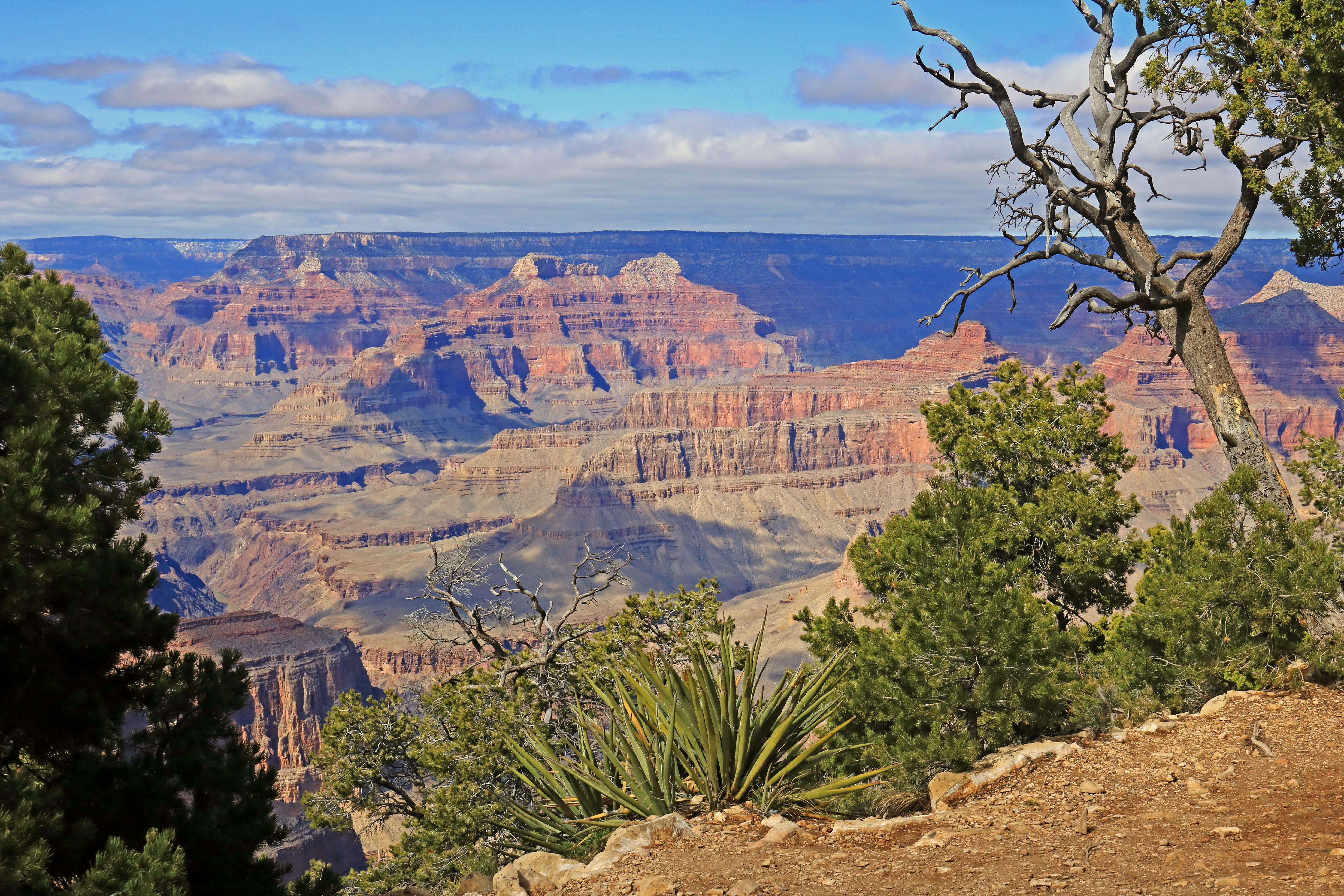 Grand Canyon