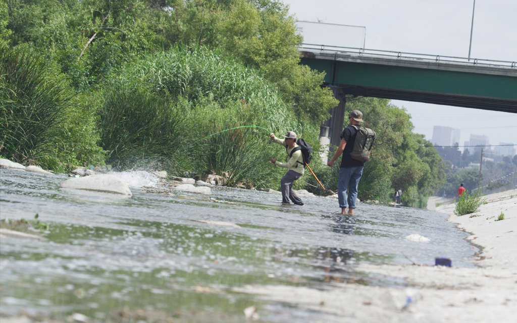 The Beginner's Guide to Fishing in LA