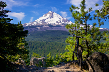 mountain biking trails