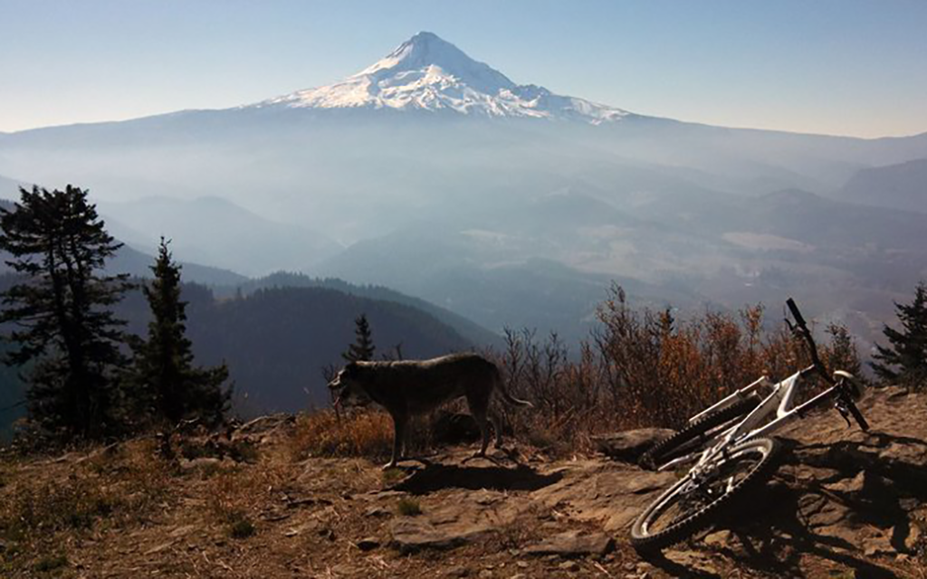 Mountain Biking Trails