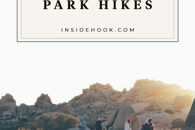 hiking joshua tree