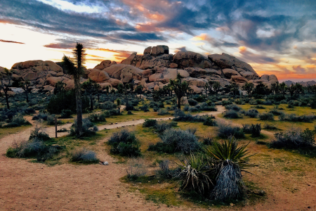 Best National Park Hikes in California