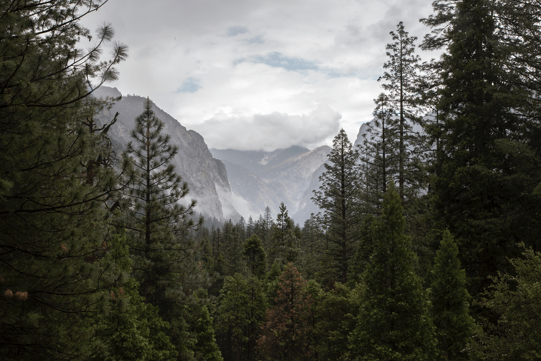 Kings Canyon National Park