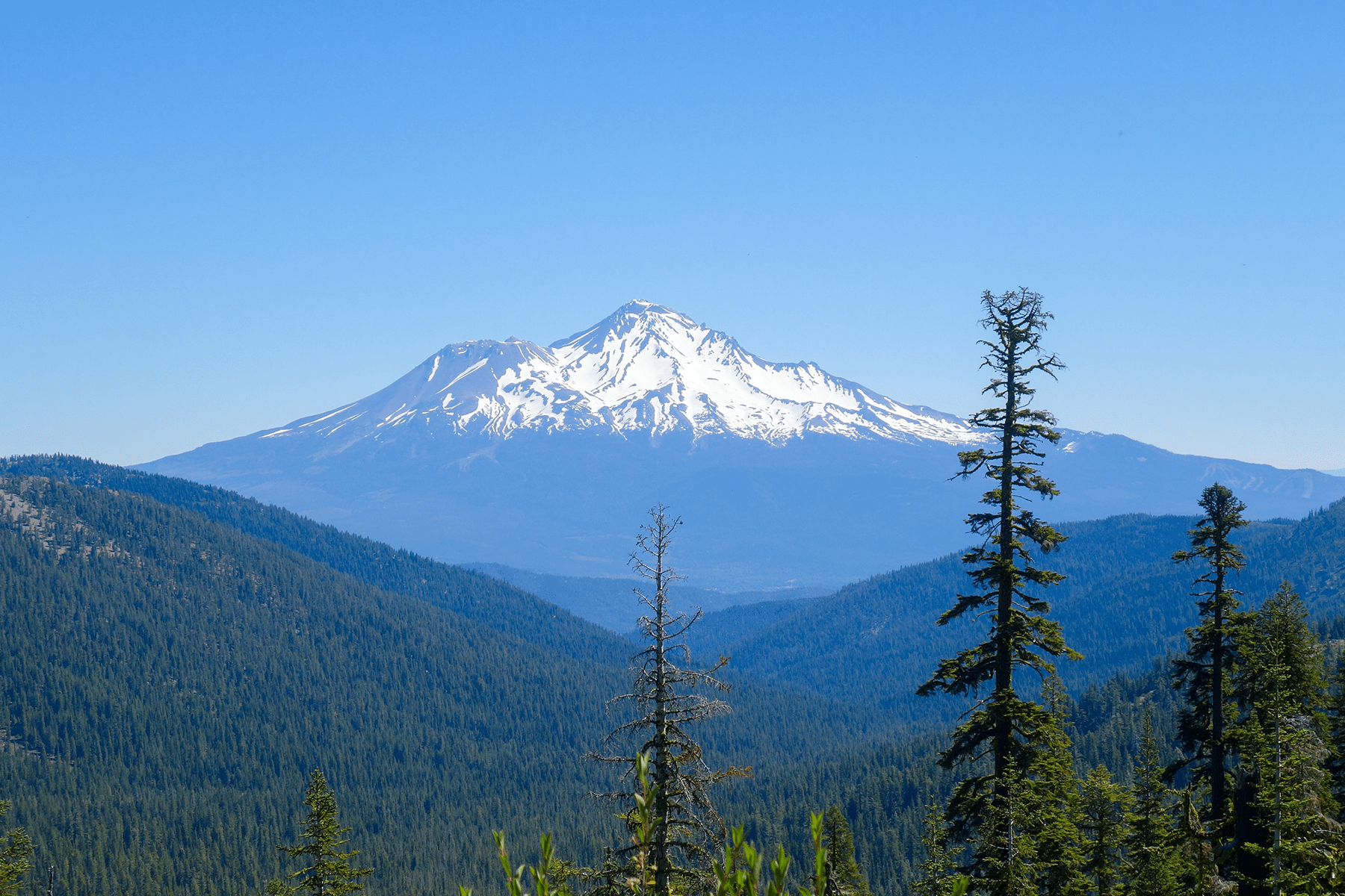 Mt. Shasta