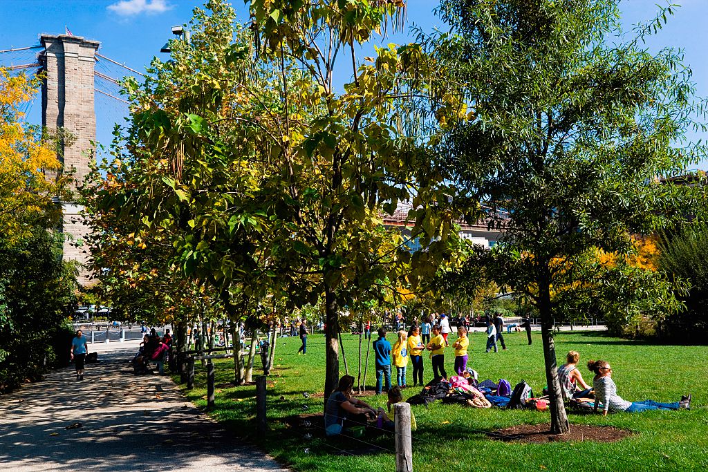 Trees and allergies have a complex connection. (GettyImages)