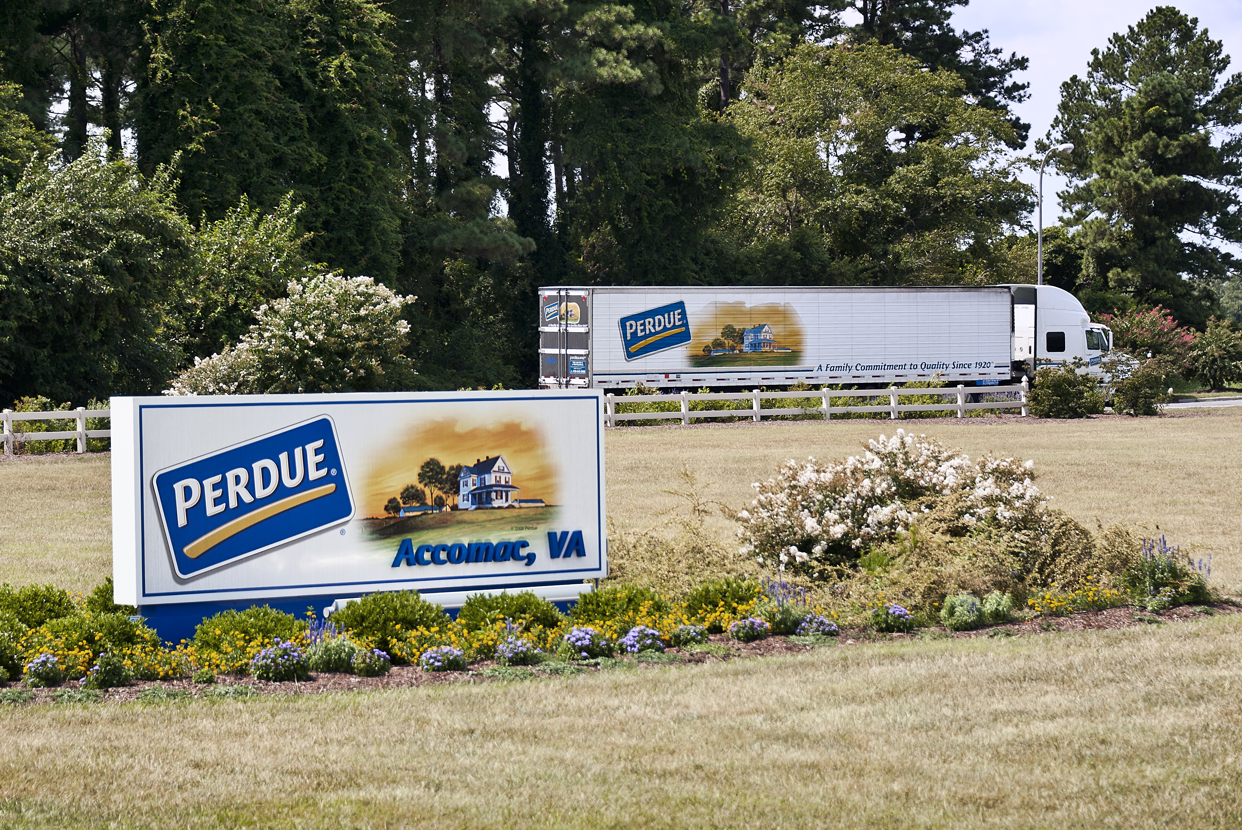 Perdue farms