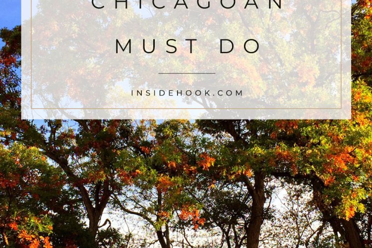 Best Hikes Near Chicago