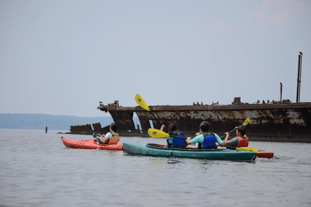 Ghost Fleet Mallows Bay