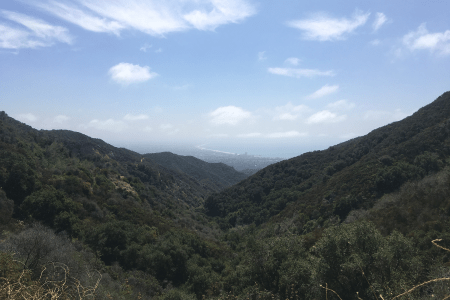 LA Hikes