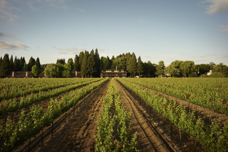 Napa Valley Harvest Weekend