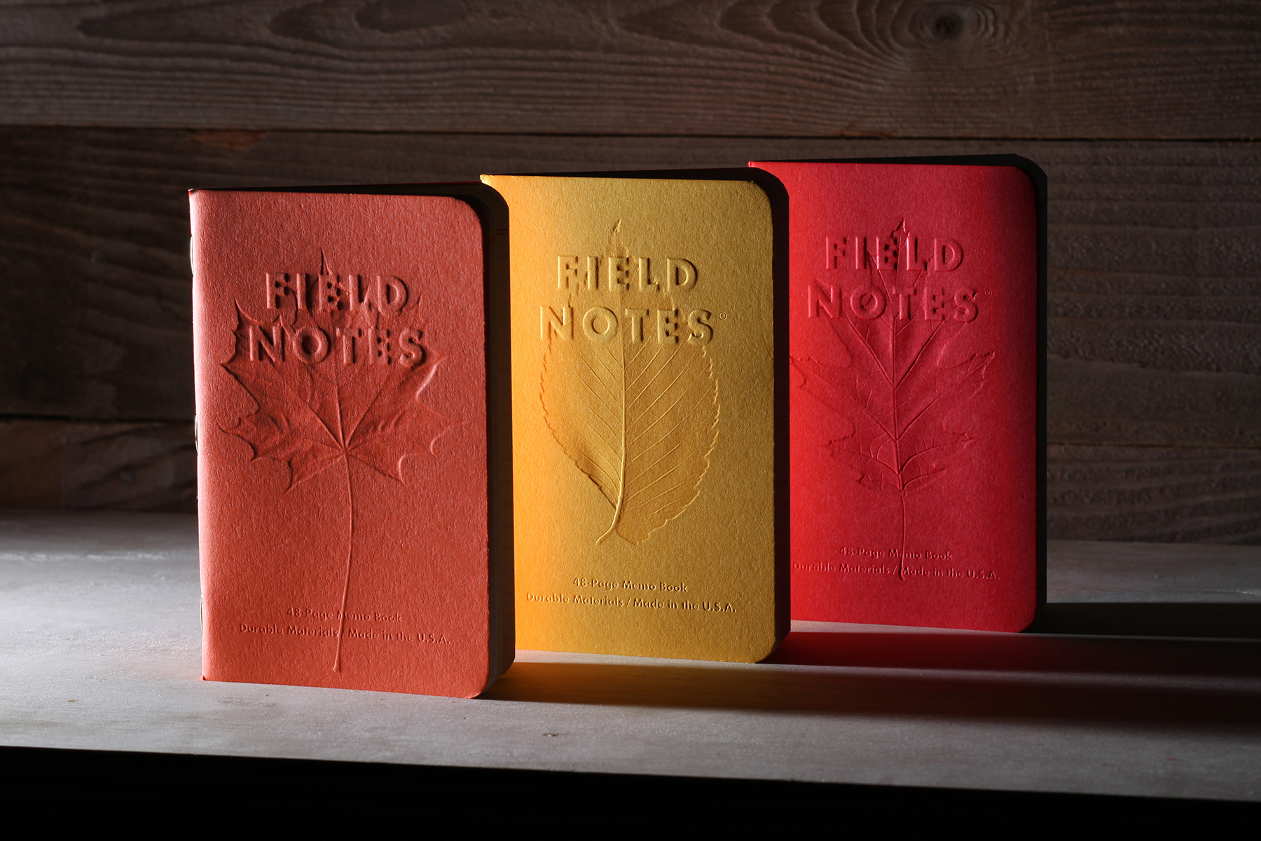 Field Notes Autumn Trilogy