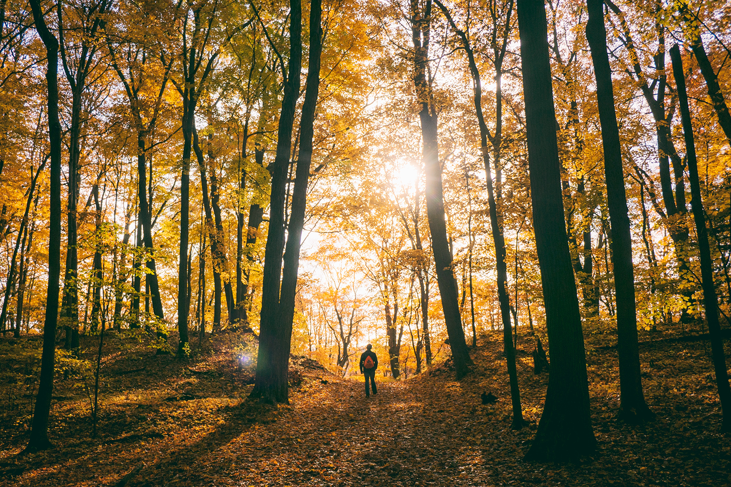 Best Thanksgiving Hikes Bay Area