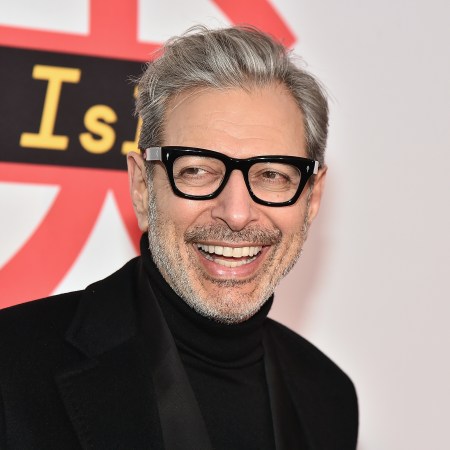 jeff goldblum