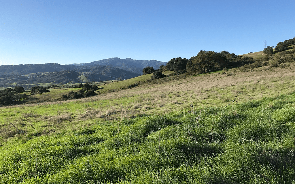 Santa Teresa County Park Trail Loop