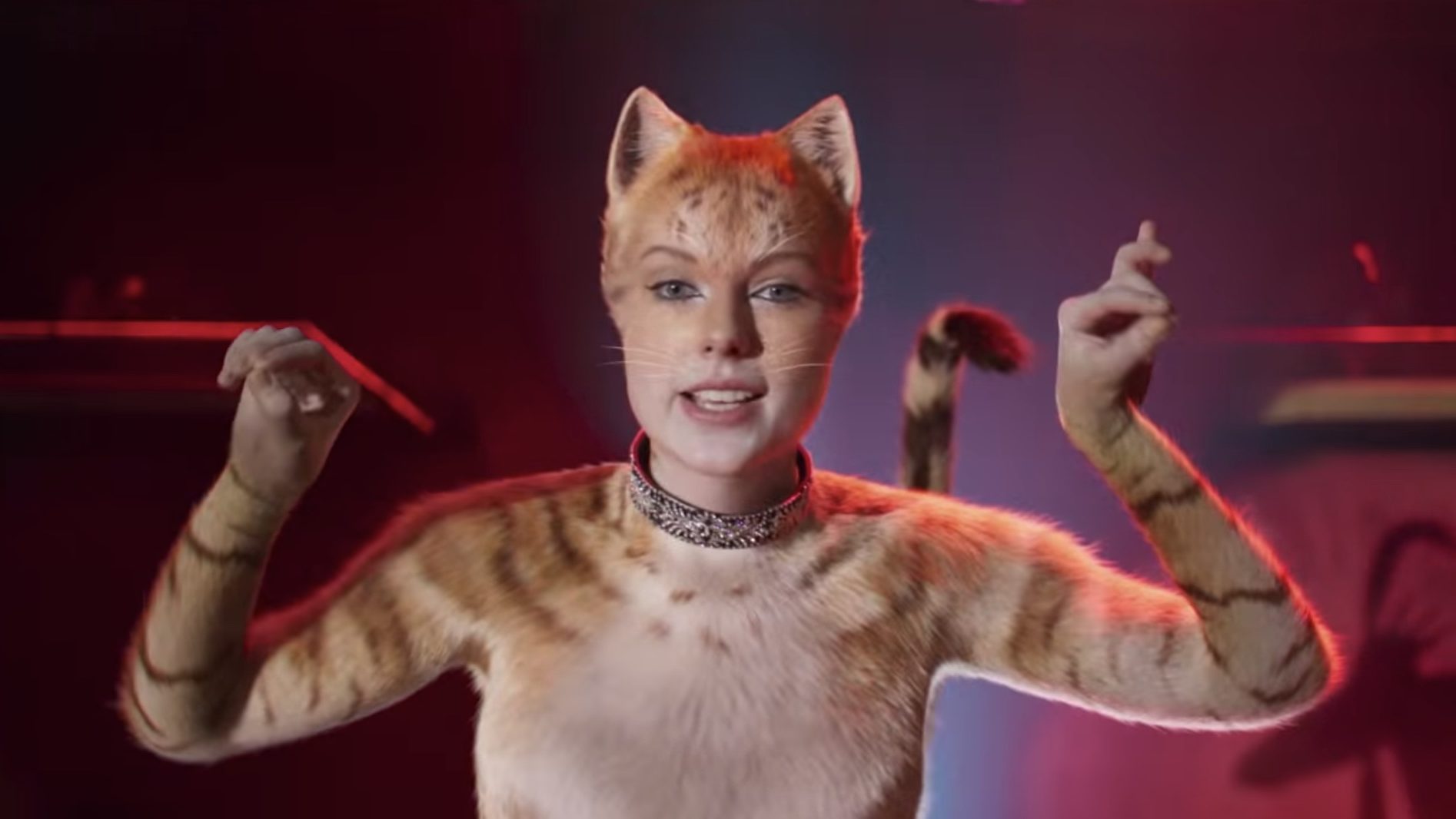 Taylor Swift horny cats fetish