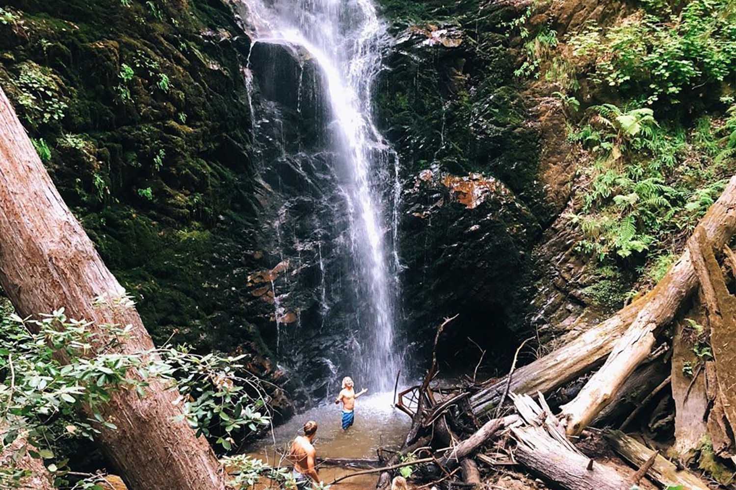 The Berry Creek Falls
