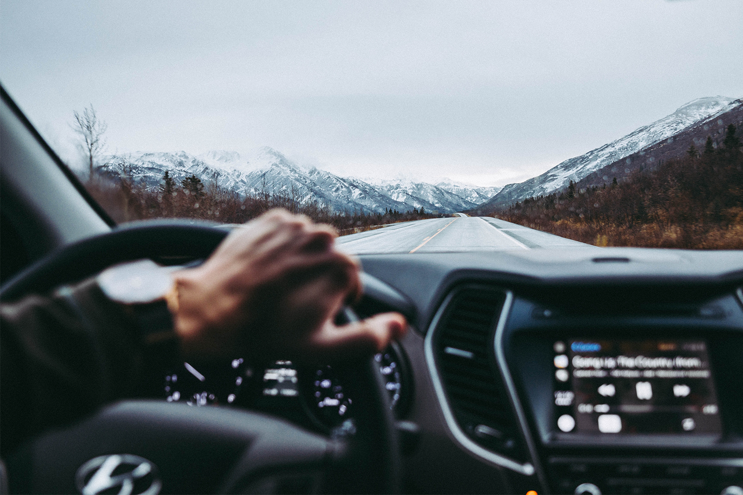 Man driving through Denali National Park in Alaska