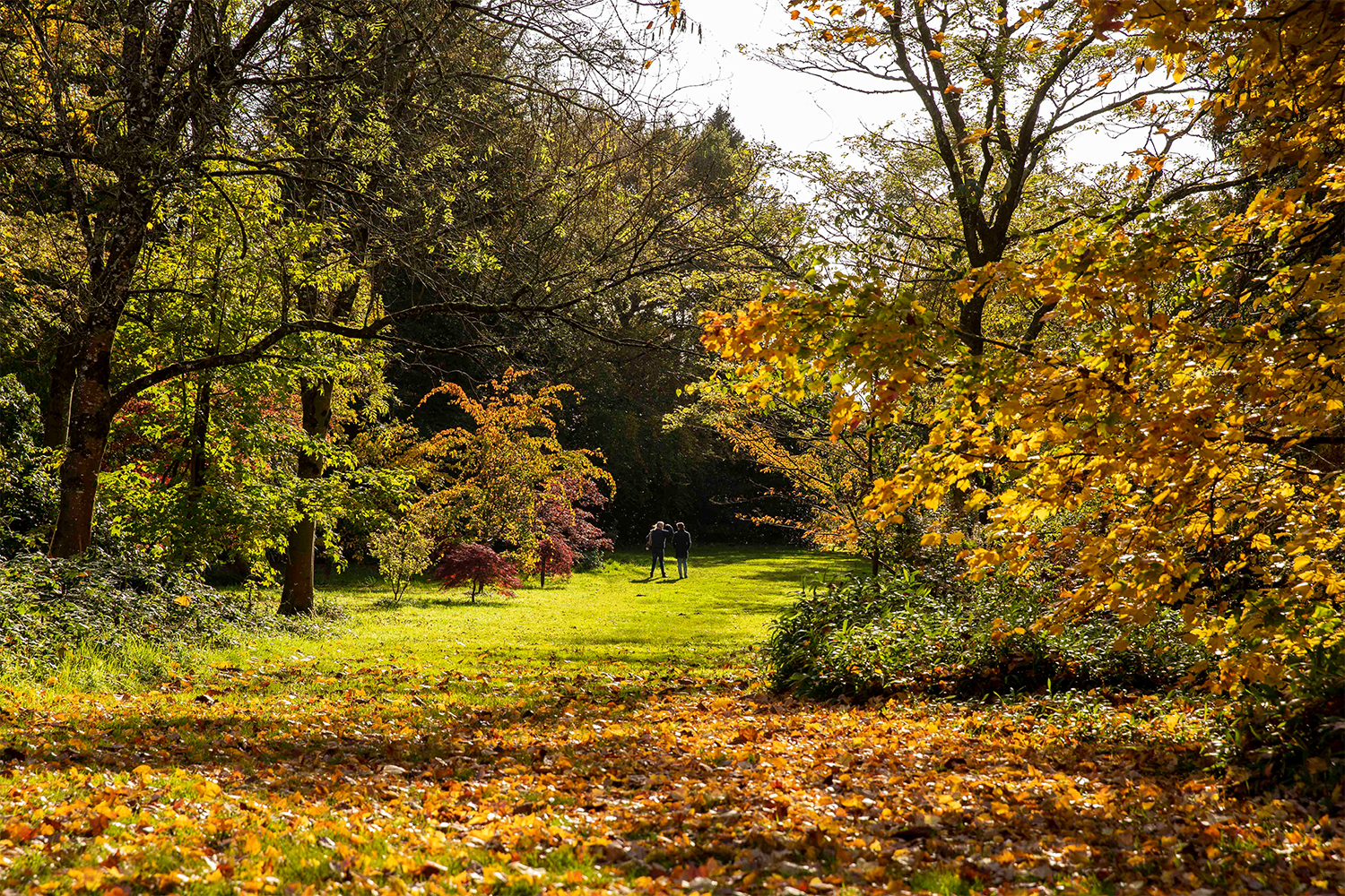 Wales arboretum in the fall