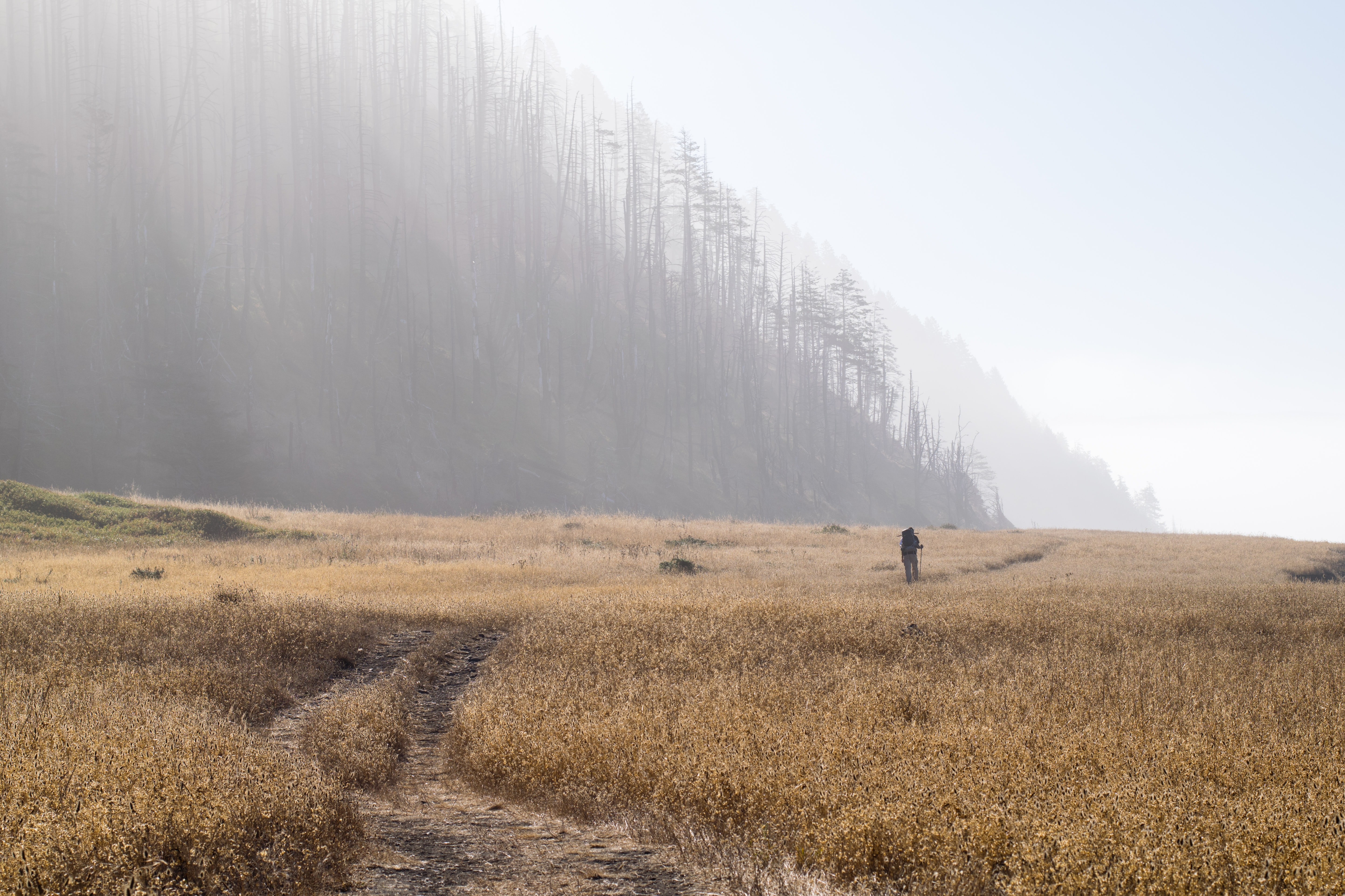 lost coast trail