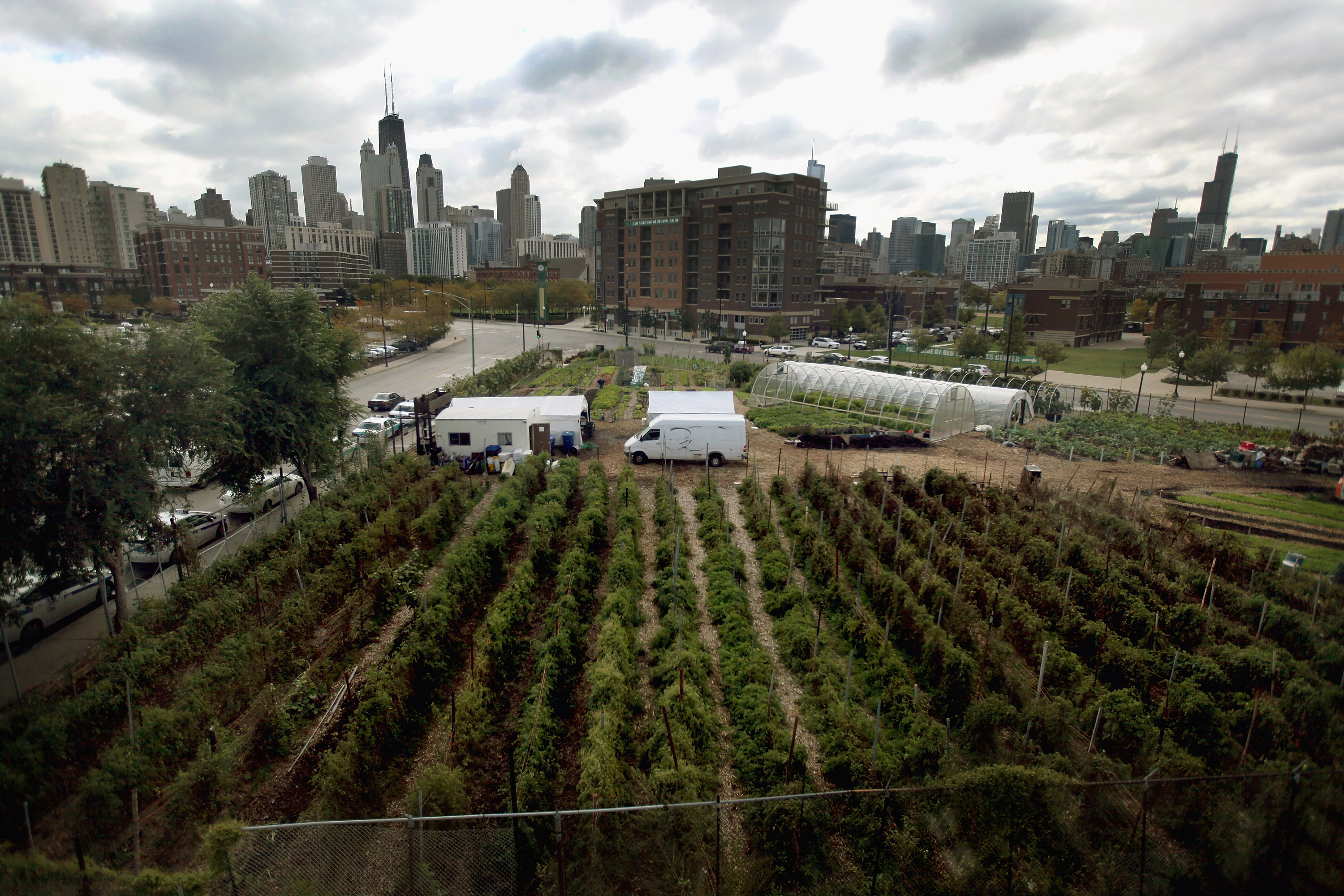 chicago farms coronavirus