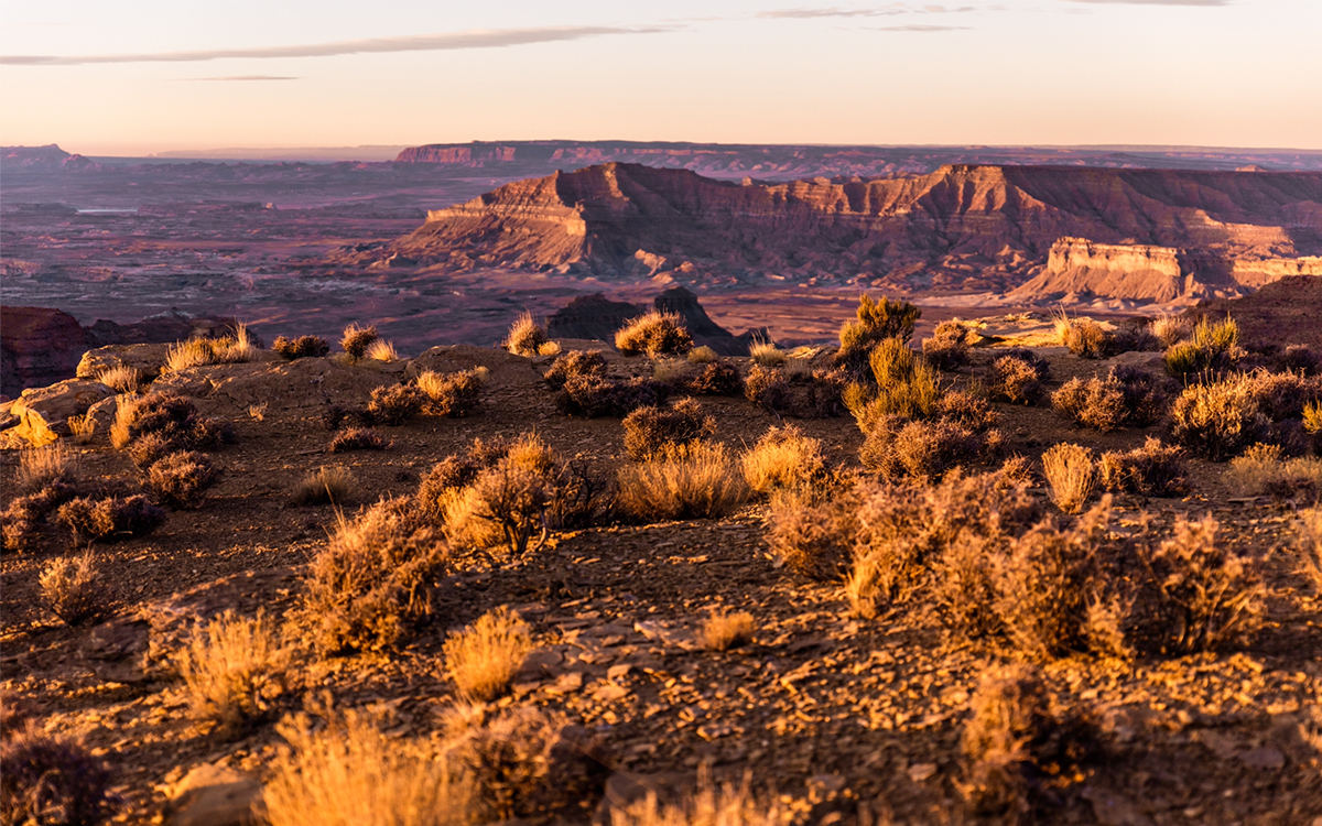 A Conservationist Ran from Oregon to New Mexico and Made a Documentary About It