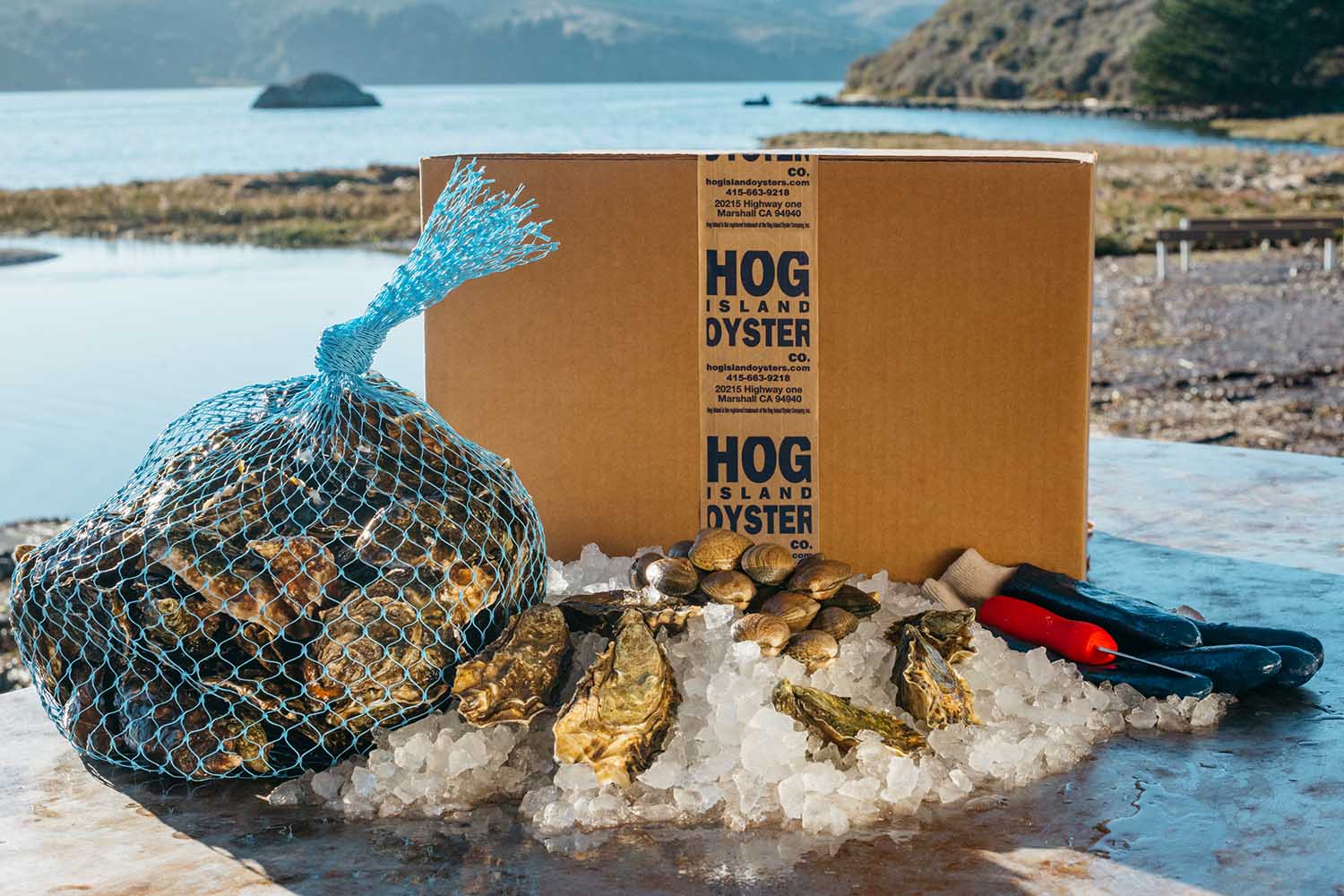 Hog Island Just Opened a Delivery-Only Oysters and Bloody Mary Bar