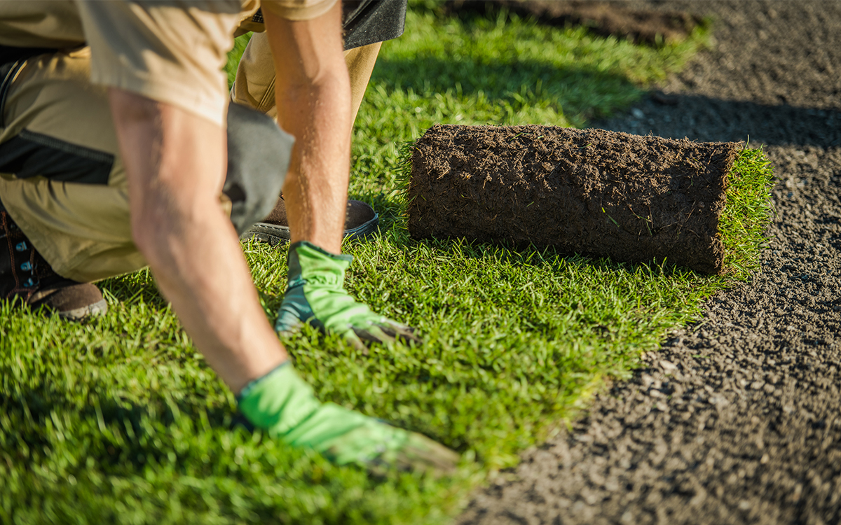 Does Yardwork Count as Exercise?