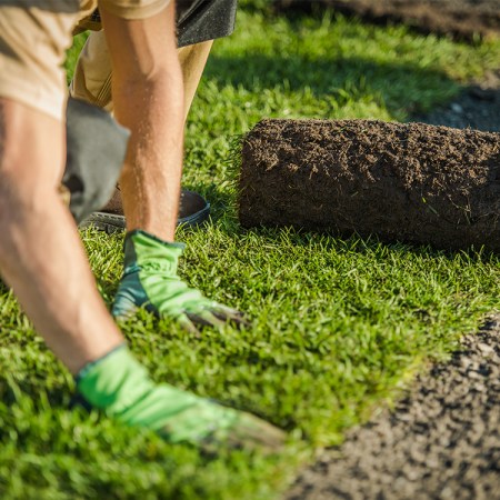 Does Yardwork Count as Exercise?