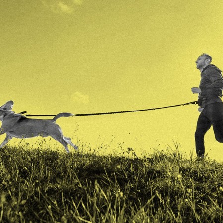 man running with dog