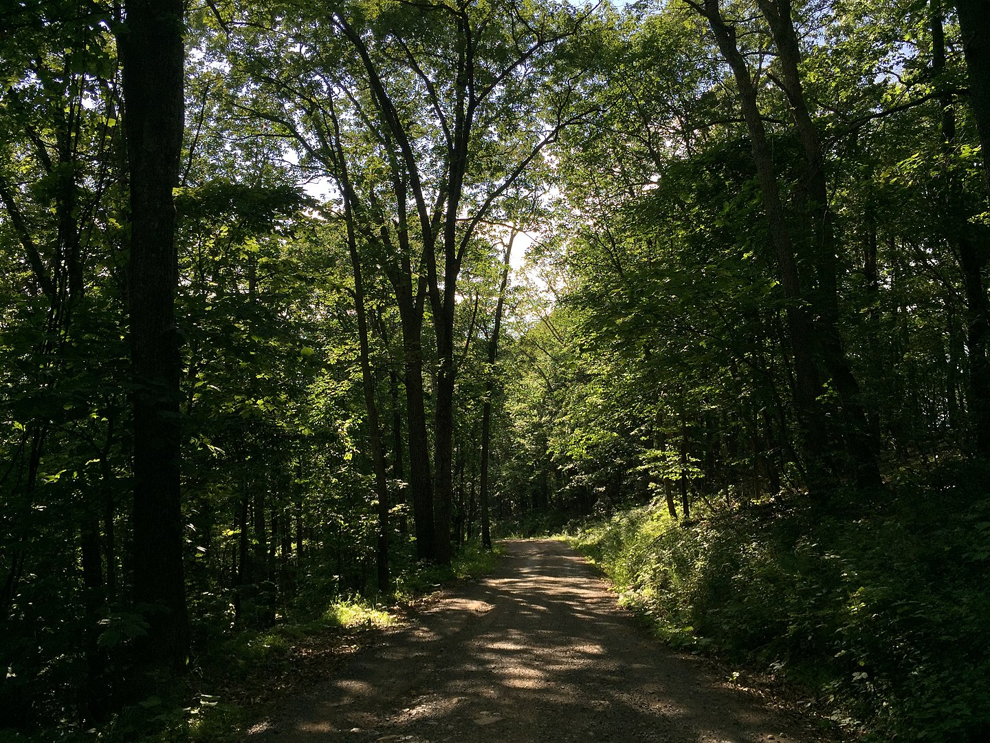 George Washington National Forest