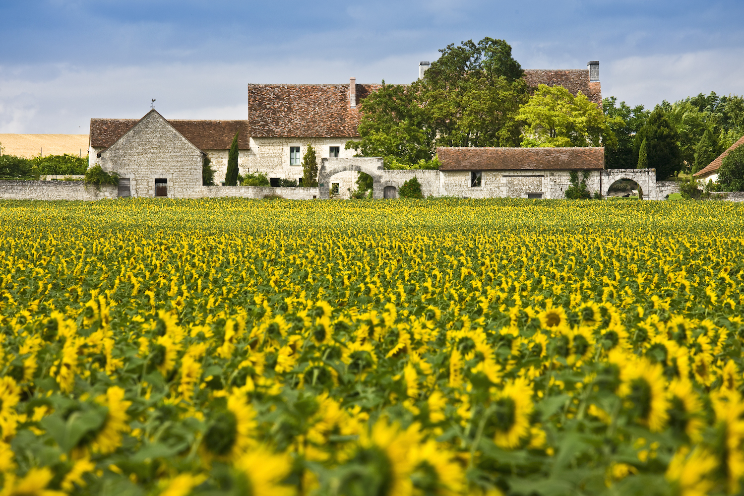 I mean, who wouldn't want their own chateau?