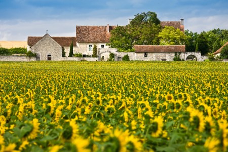 I mean, who wouldn't want their own chateau?