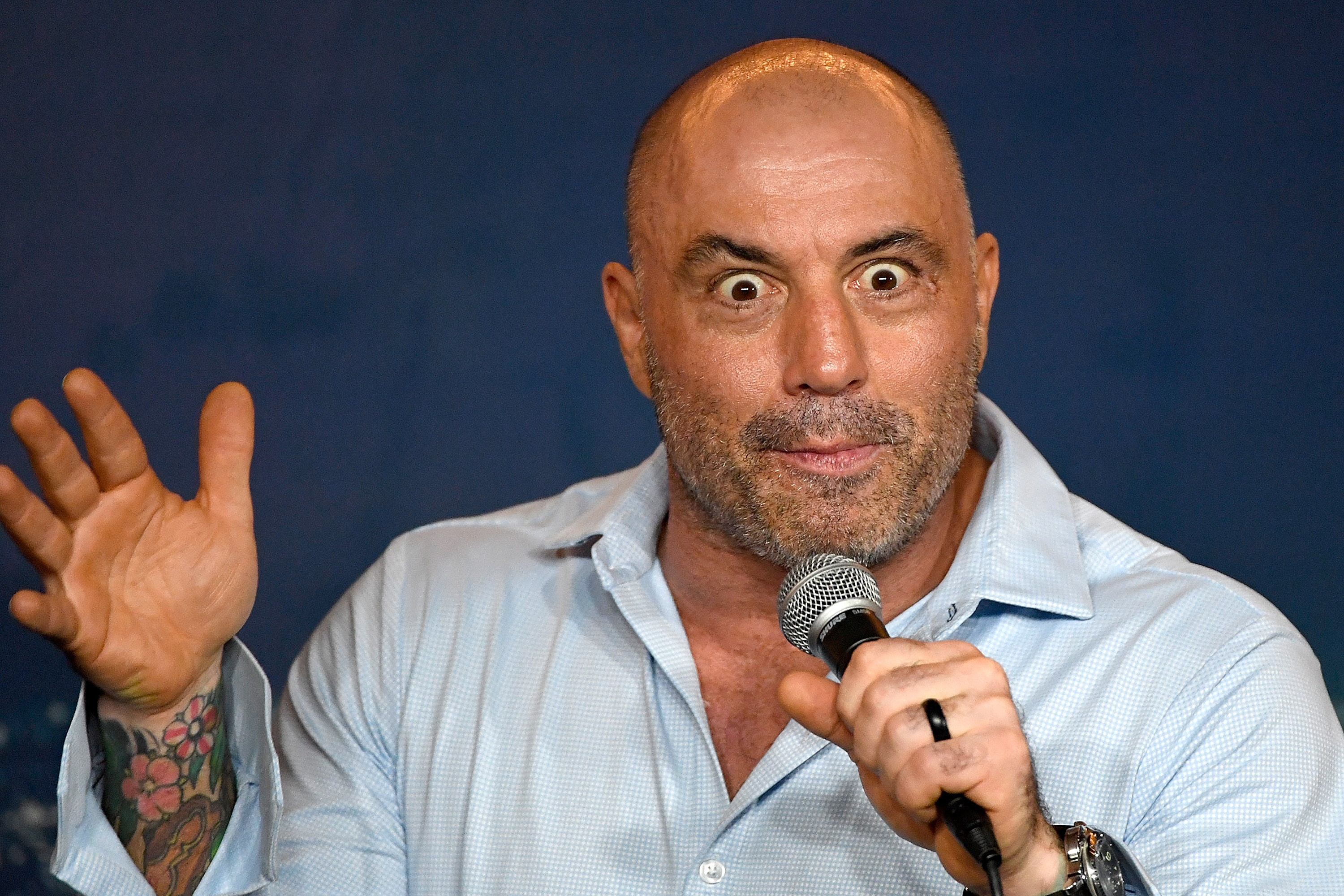 joe rogan edgy comedians