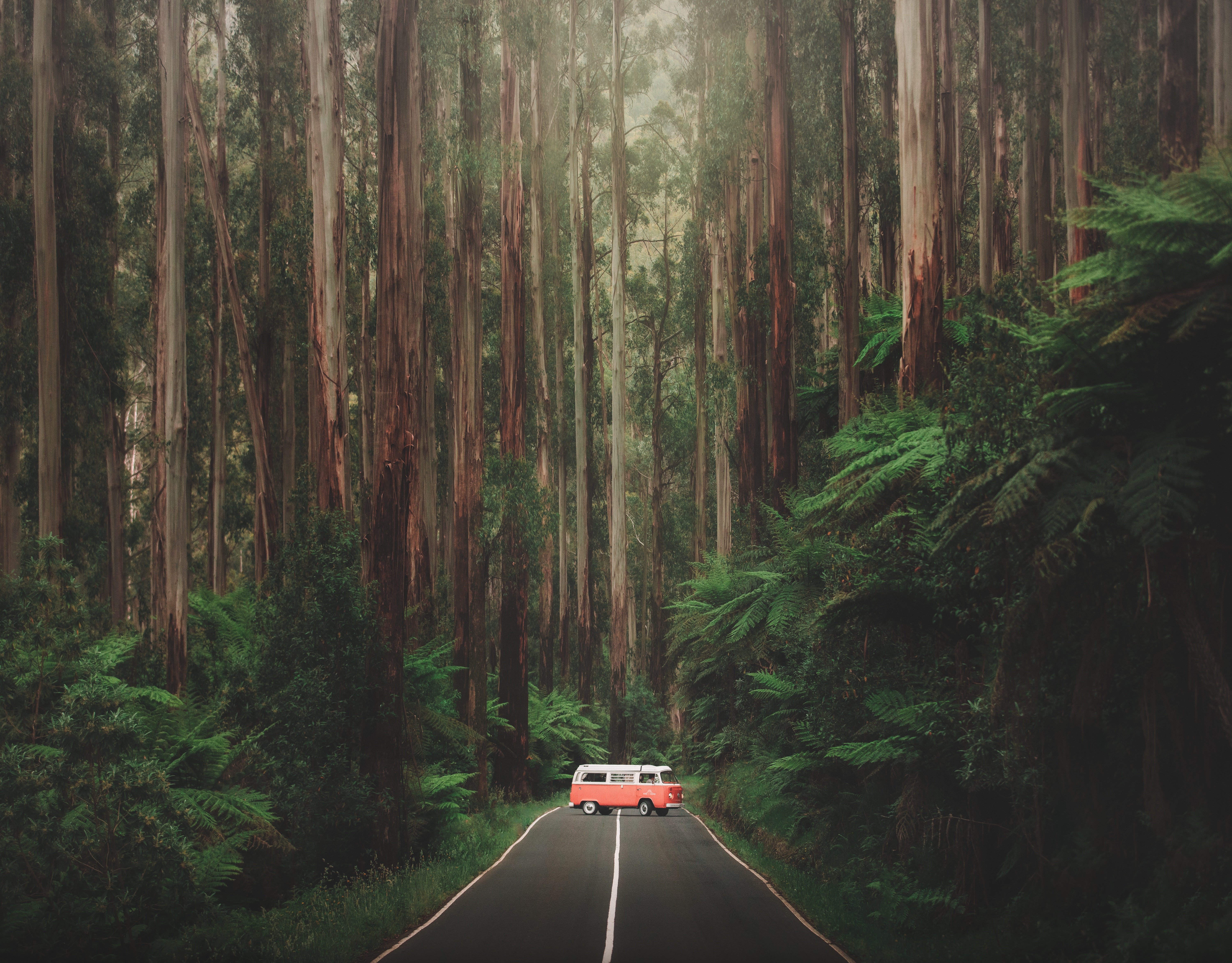 Karl Shakur Maroondah Highway Australia