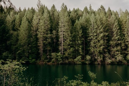 private campground in California