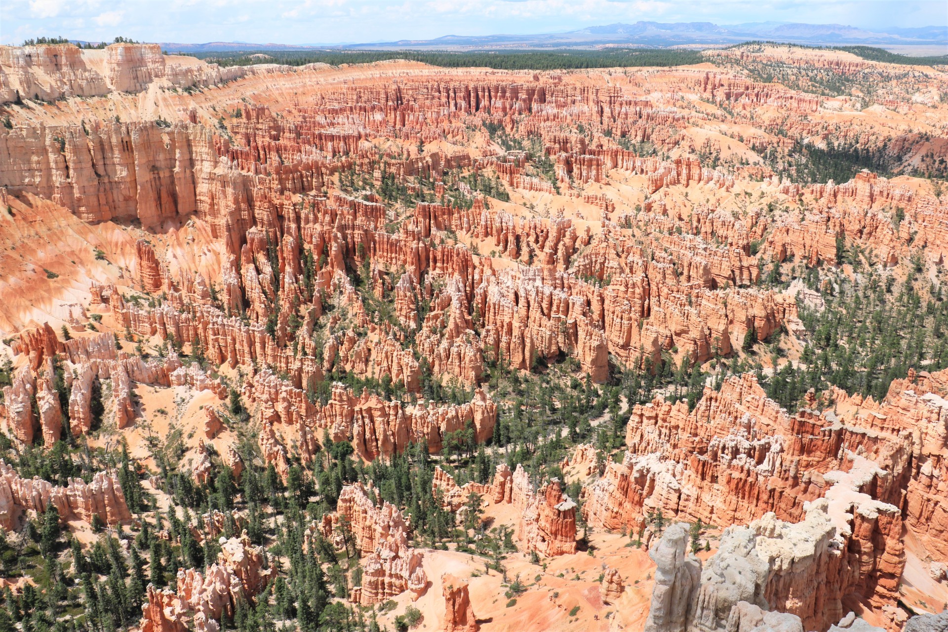 Bryce