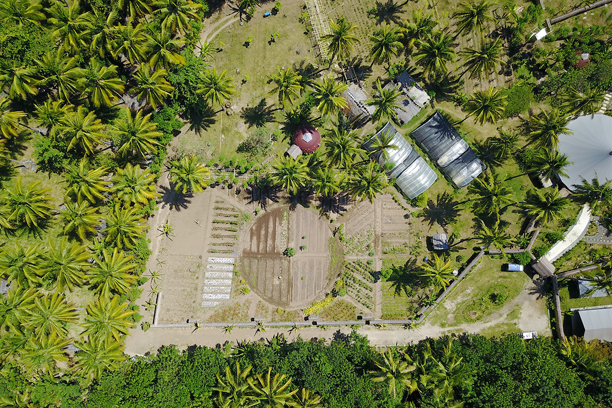 overhead shot of a farm