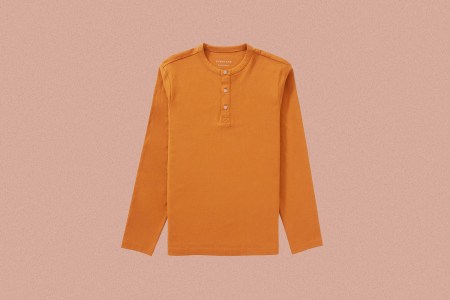 Everlane Henley on sale