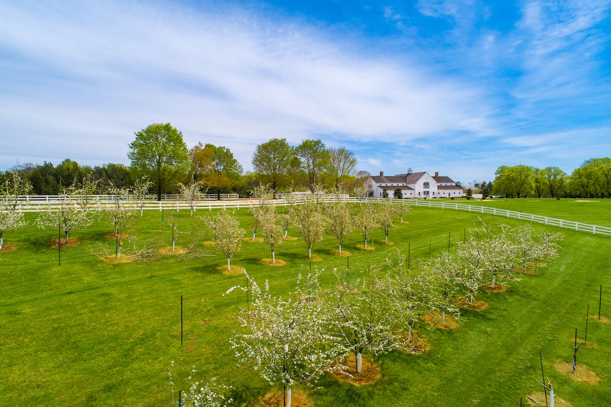 Castle Hill Cider