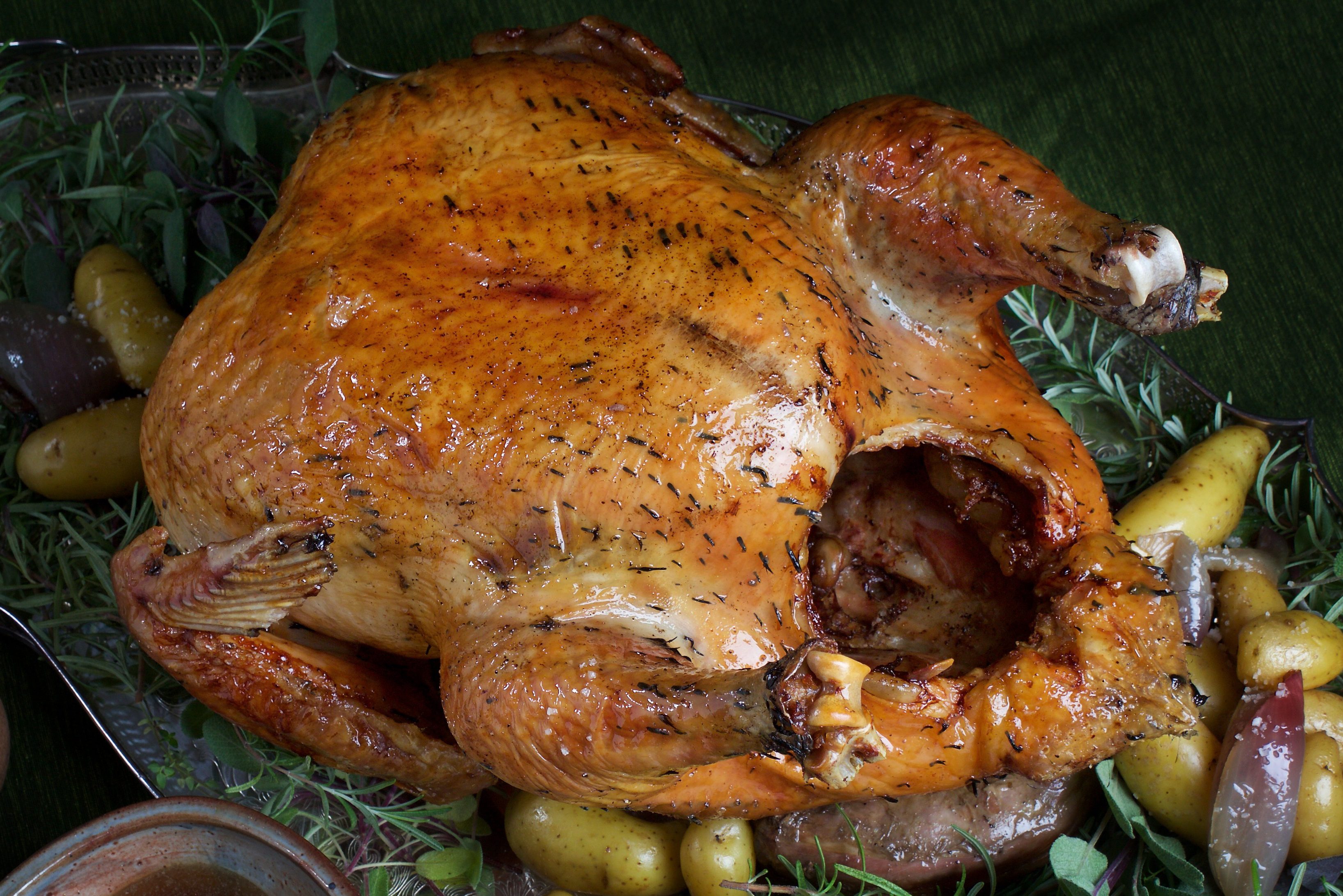 Let's Talk KellyBronze Turkey, the "Rolls-Royce" of Heritage Breeds