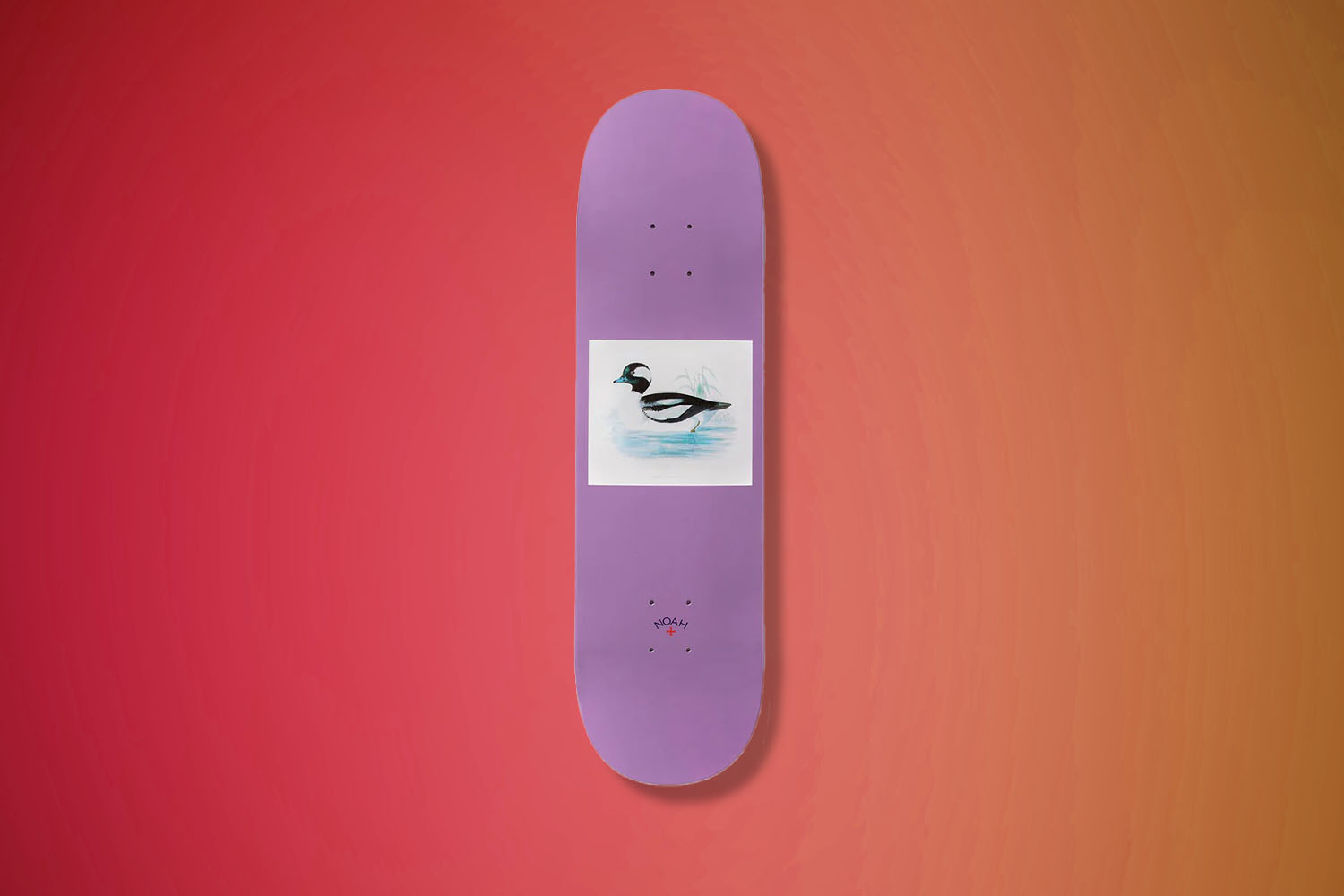 Noah Duck Deck