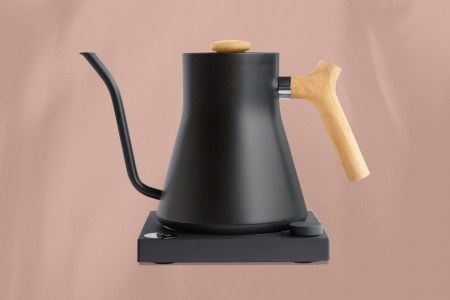 fellow stagg electric kettle