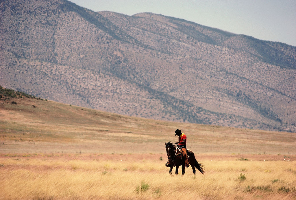 Man riding horse in landscape