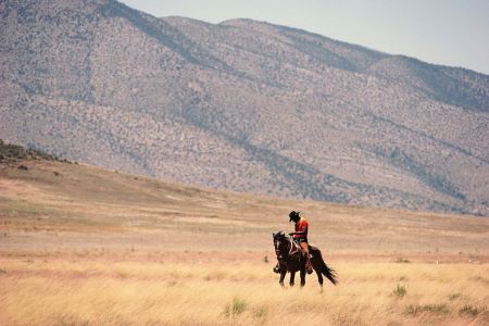 Man riding horse in landscape